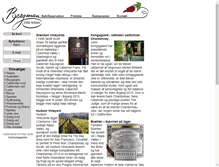 Tablet Screenshot of bergmanvin.dk